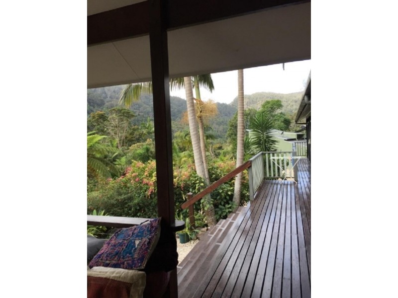 491 Upper Wilsons Creek Road, Upper Wilsons Creek NSW 2482
