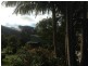 491 Upper Wilsons Creek Road, Upper Wilsons Creek NSW 2482