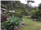 491 Upper Wilsons Creek Road, Upper Wilsons Creek NSW 2482