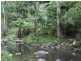 491 Upper Wilsons Creek Road, Upper Wilsons Creek NSW 2482