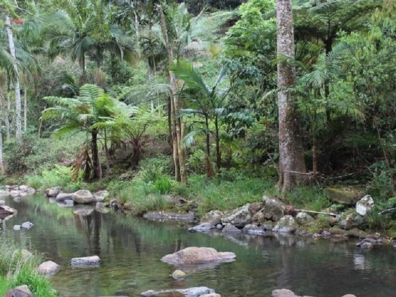 491 Upper Wilsons Creek Road, Upper Wilsons Creek NSW 2482