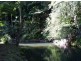 491 Upper Wilsons Creek Road, Upper Wilsons Creek NSW 2482