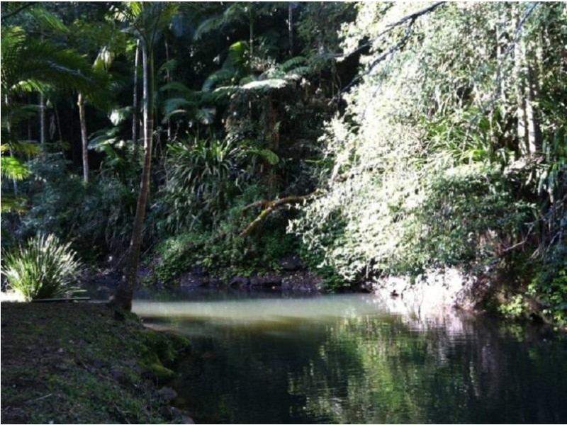 491 Upper Wilsons Creek Road, Upper Wilsons Creek NSW 2482