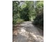 491 Upper Wilsons Creek Road, Upper Wilsons Creek NSW 2482