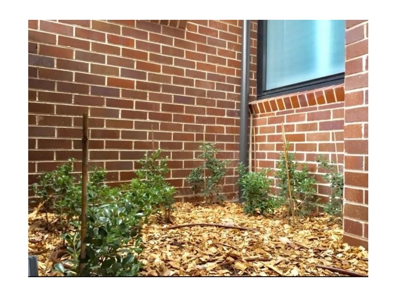 8/100 Reynolds Street, Balmain NSW 2041