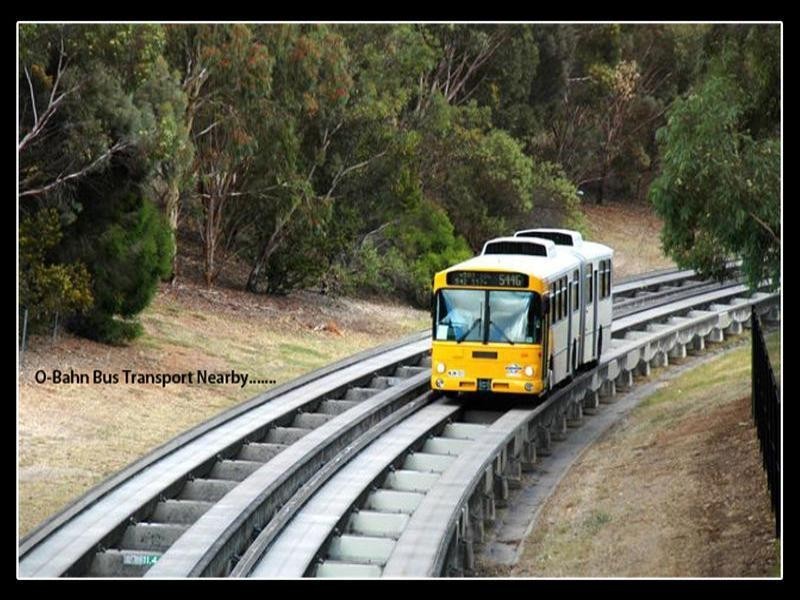 3 Wear Avenue, Marden SA 5070