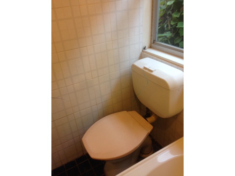 25 Smith Street, Summer Hill NSW 2130