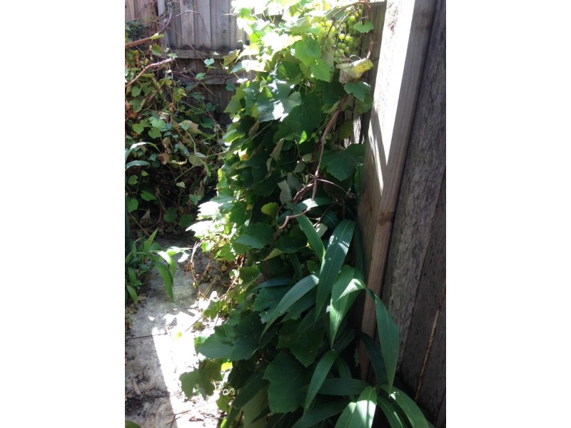 25 Smith Street, Summer Hill NSW 2130