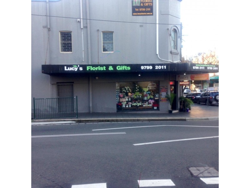 25 Smith Street, Summer Hill NSW 2130