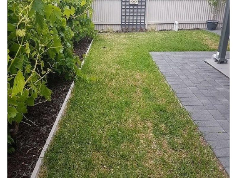 75A Cungena Avenue, Park Holme SA 5043