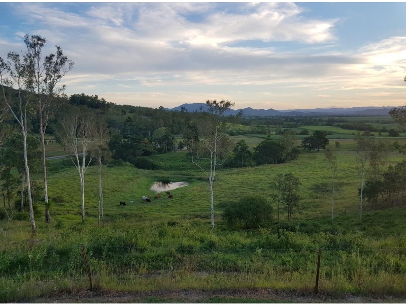 846 Devereux Creek Roadd, Devereux Creek QLD 4753