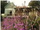 78 Andersons Road, Port Arthur TAS 7182