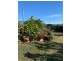 30 Starfish Crescent, Bargara QLD 4670