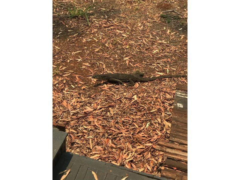 13 Susan Street, Russell Island QLD 4184