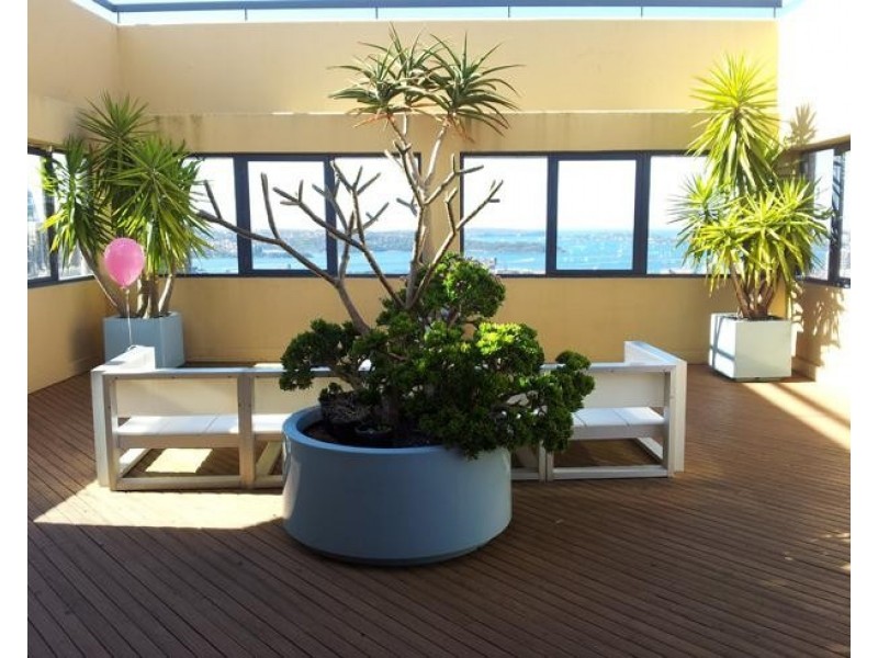 344/27 Park Street, Sydney NSW 2000