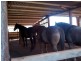 28941 Bruce Highway, Childers QLD 4660