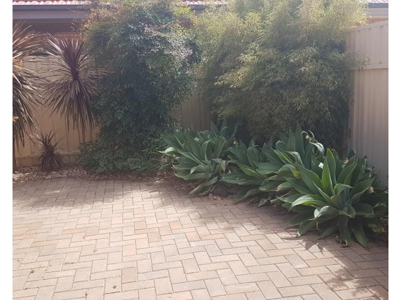 18A Duncan Street, Lockleys SA 5032