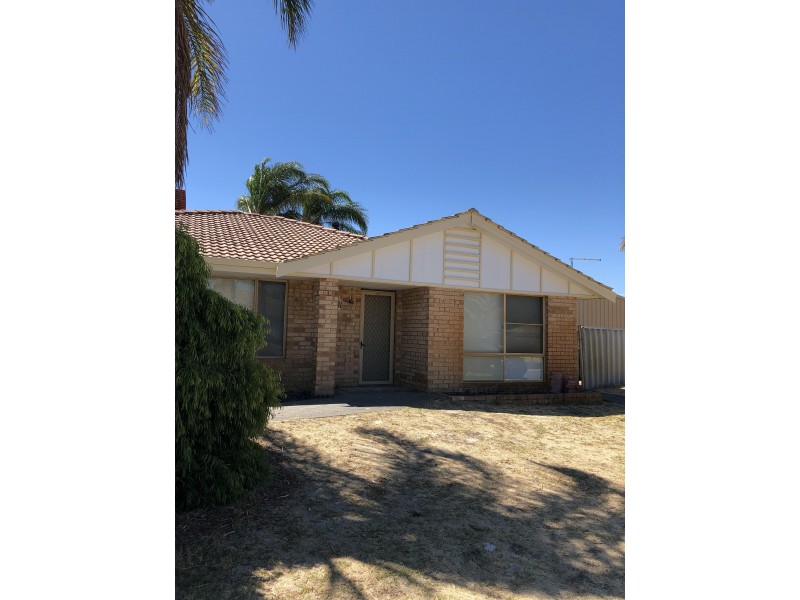 22 Hummingbird Gardens, Ballajura WA 6066