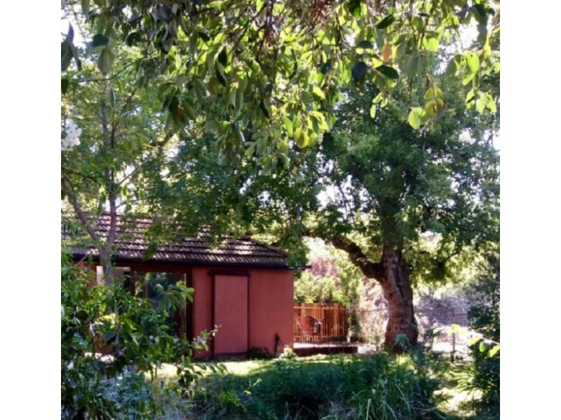 81 David Street, O’connor ACT 2602