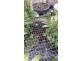 Torrens Park SA 5062