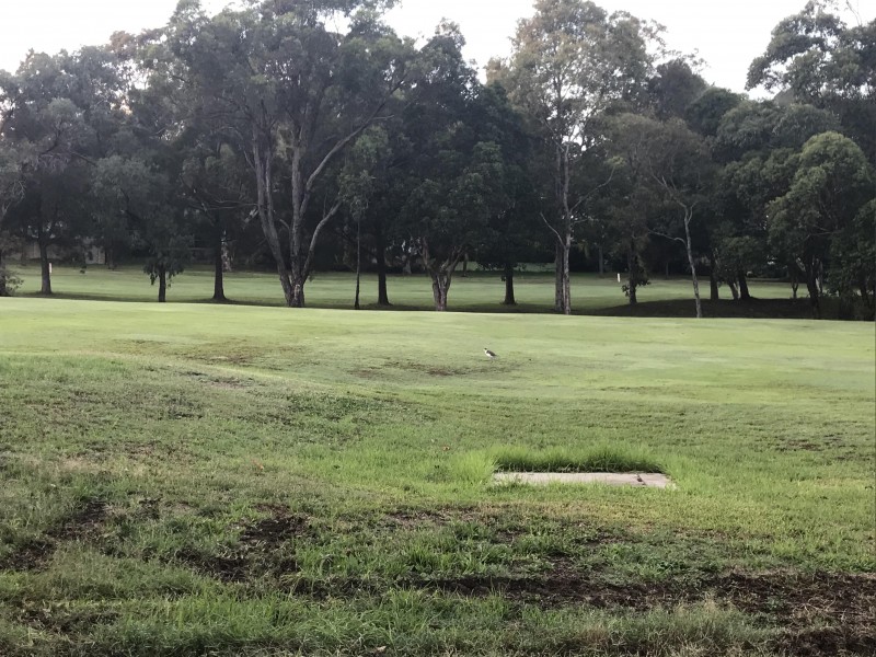 9A Ella Street, Adamstown NSW 2289