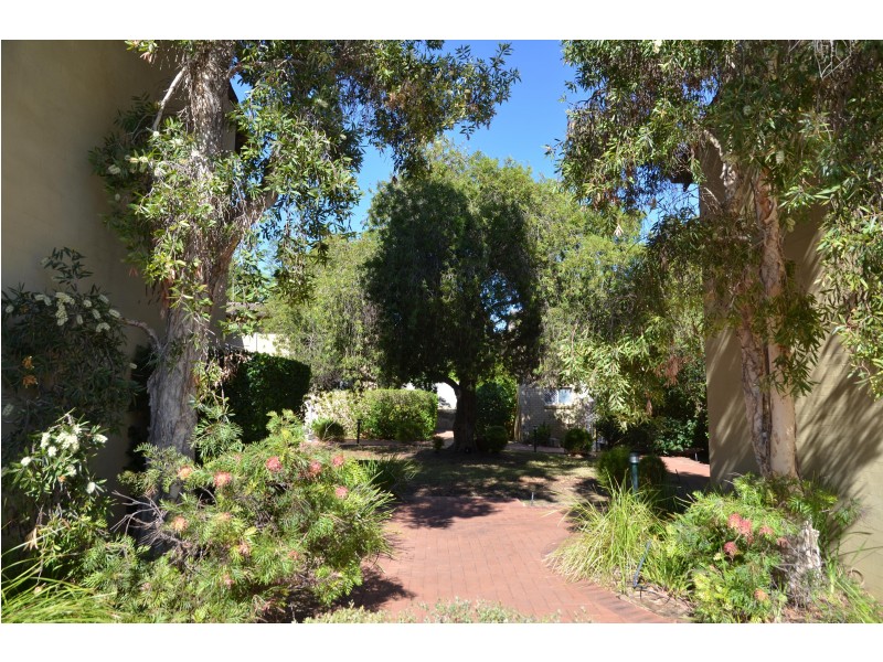 4/61 Second Avenue, Mount Lawley WA 6050