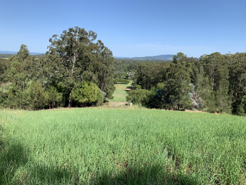 23 Lorikeet Way, Tallwoods Village NSW 2430
