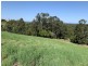 23 Lorikeet Way, Tallwoods Village NSW 2430