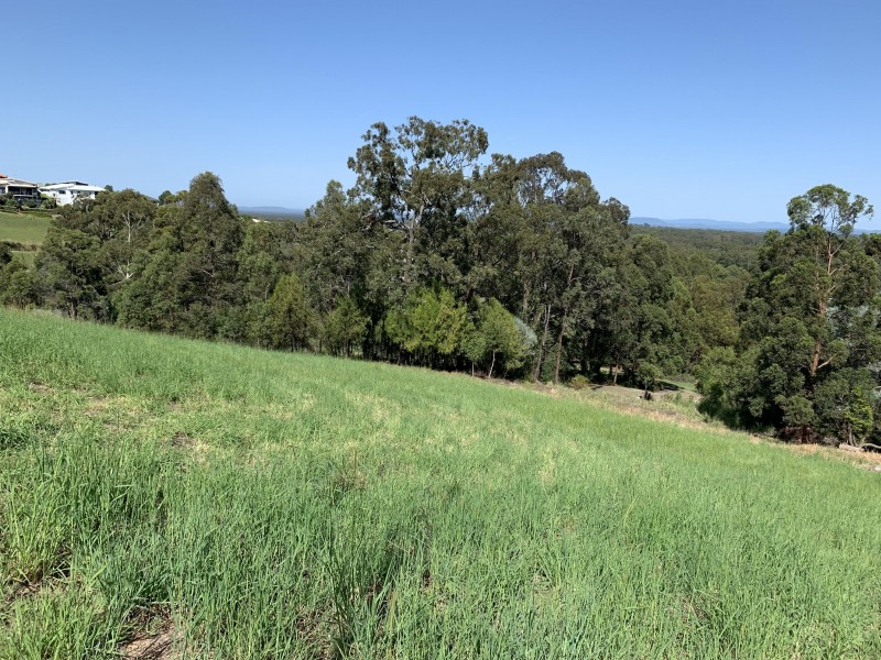 23 Lorikeet Way, Tallwoods Village NSW 2430