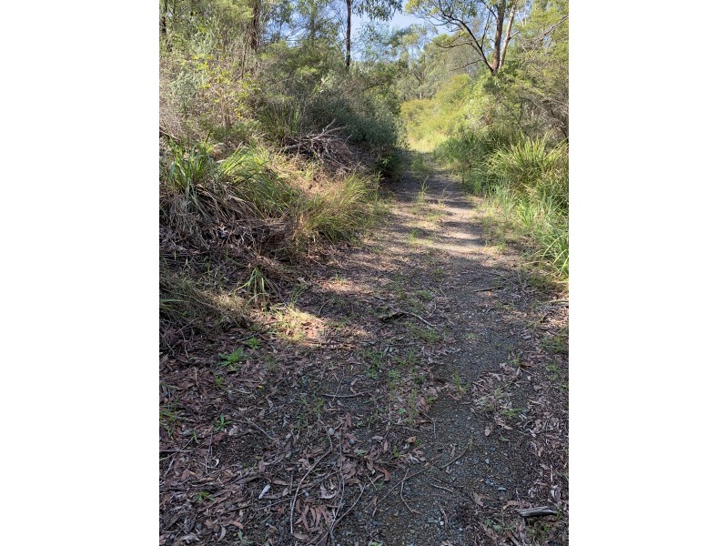 23 Lorikeet Way, Tallwoods Village NSW 2430