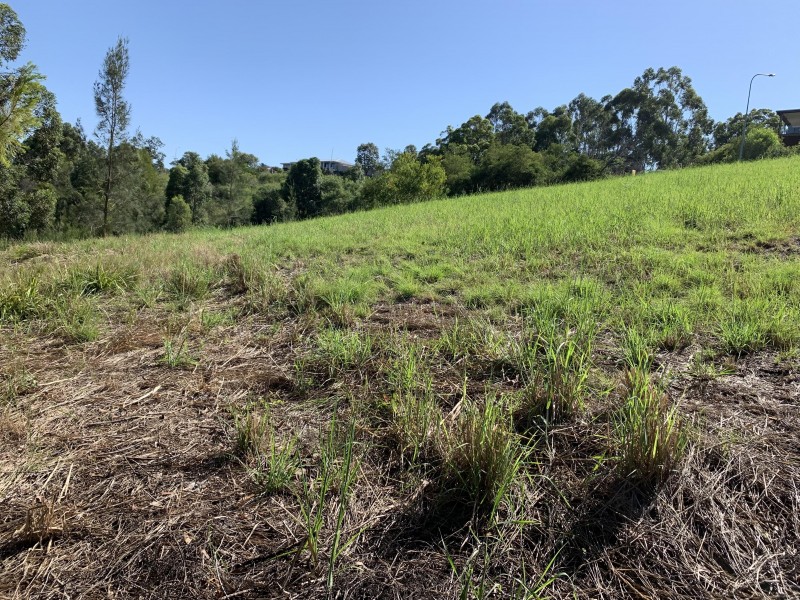 23 Lorikeet Way, Tallwoods Village NSW 2430