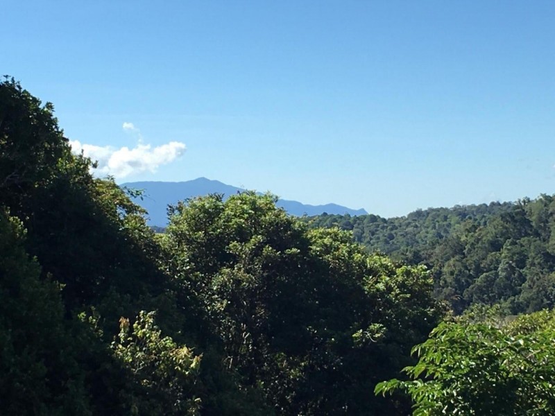 Malanda QLD 4885