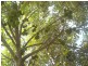 Edmonton QLD 4869