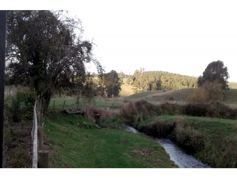 2877 Wilmot Road, Wilmot TAS 7310