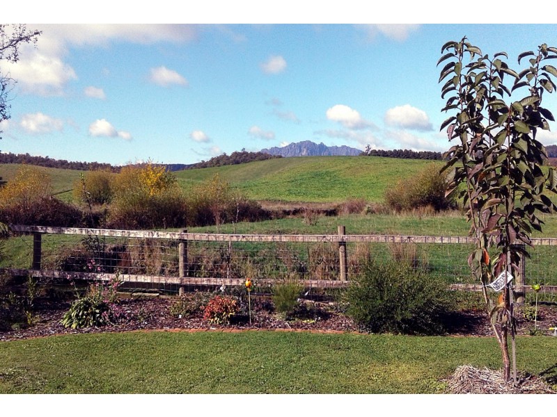 2877 Wilmot Road, Wilmot TAS 7310