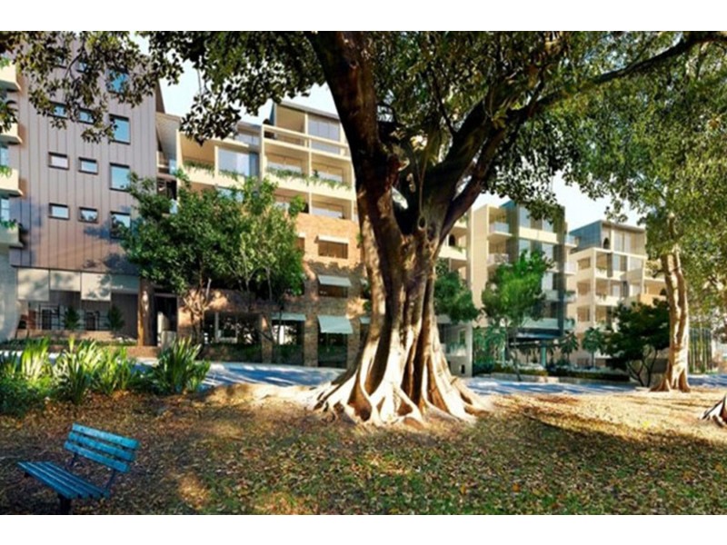 810/822 Elizabeth Street, Waterloo NSW 2017
