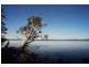Noosaville QLD 4566