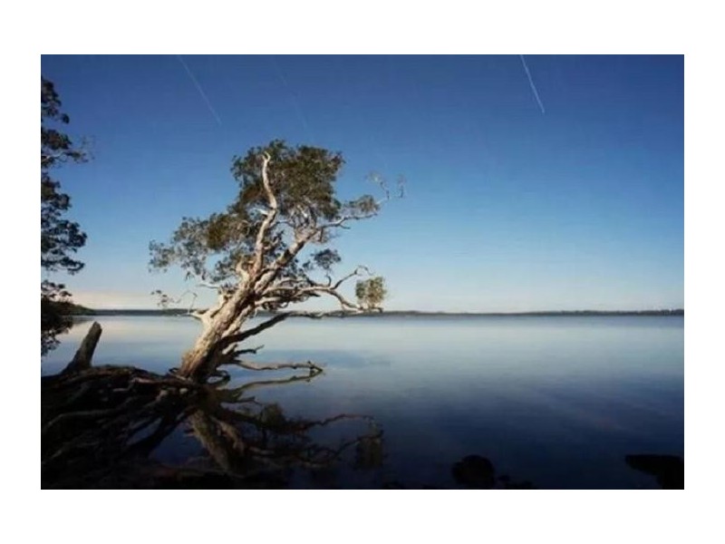 Noosaville QLD 4566