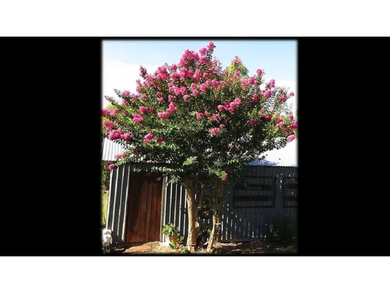 20 Kurrajong Street, Killarney QLD 4373