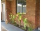 19 Dargin Way, Rockingham WA 6168