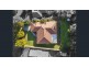 17 Quambi Place, Buderim QLD 4556