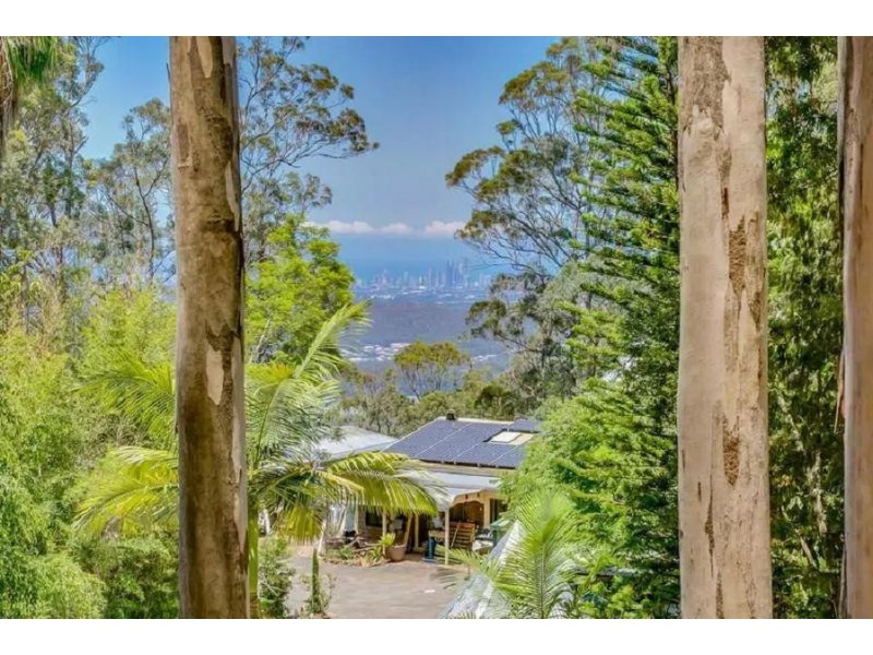 484 Beechmont Road, Lower Beechmont QLD 4211