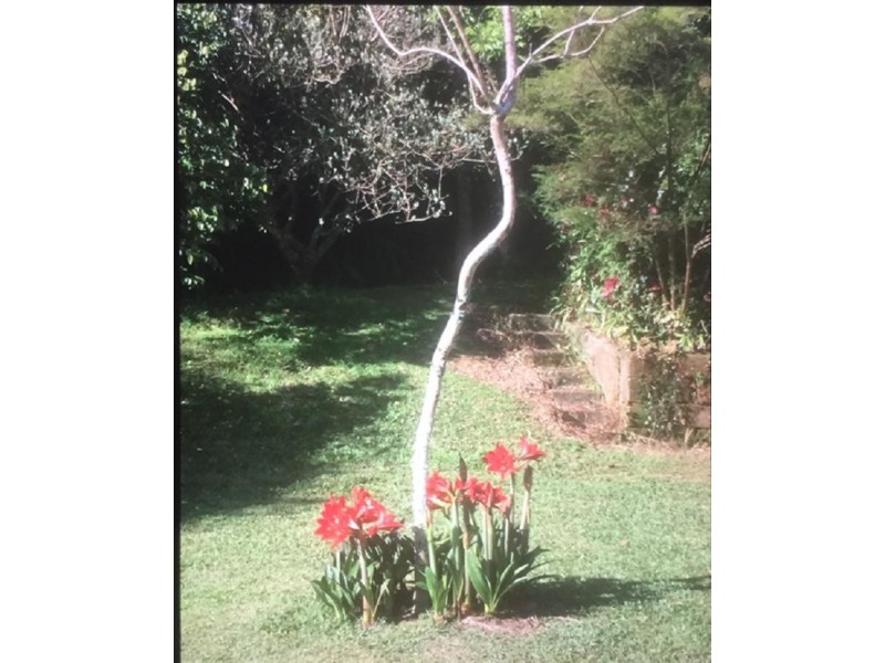 5 Treehaven Way, Maleny QLD 4552
