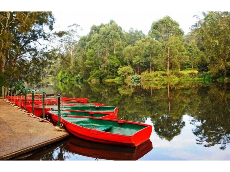 25A Harford Street, North Ryde NSW 2113