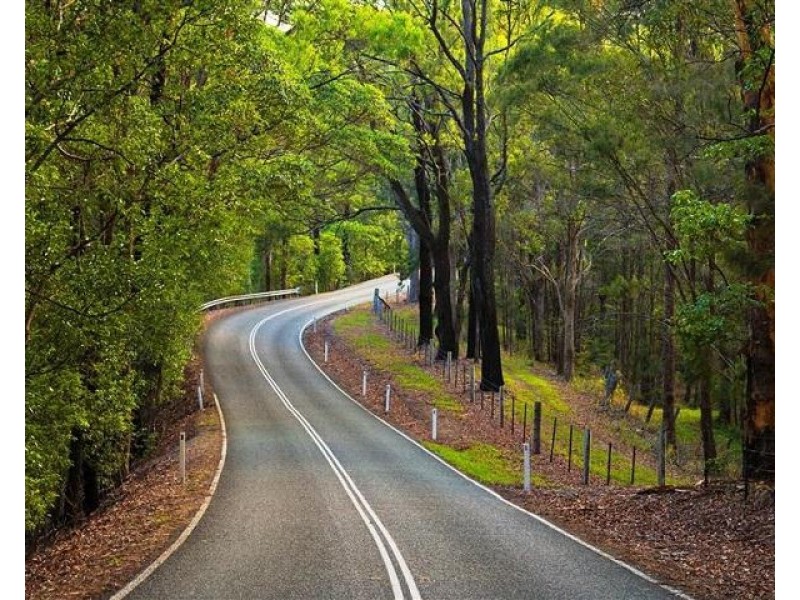 4 Warri Way, Currumbin Valley QLD 4223