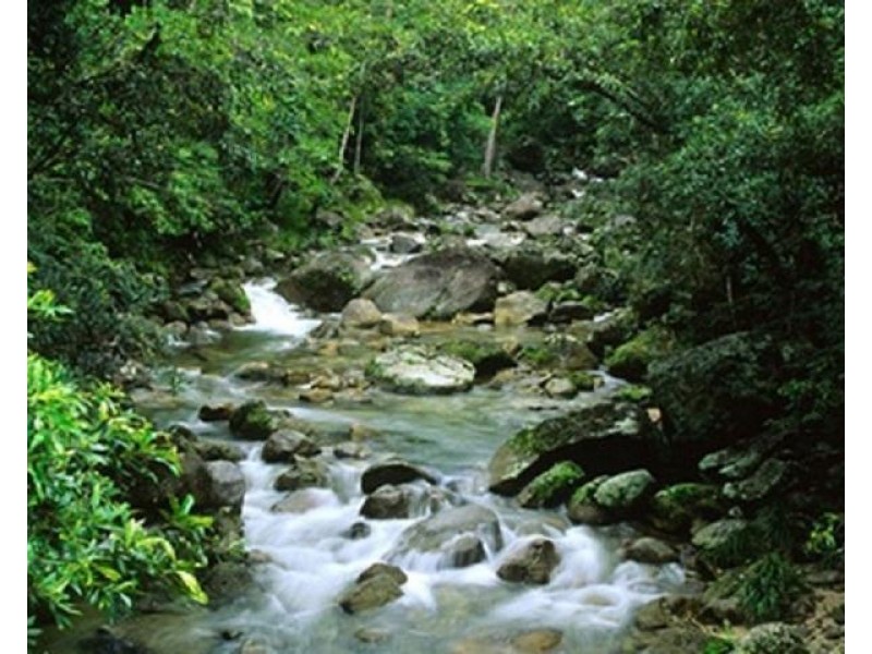 4 Warri Way, Currumbin Valley QLD 4223