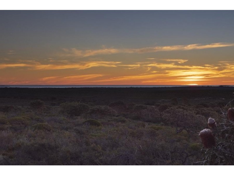 59 Flying Foam Way, Jurien Bay WA 6516