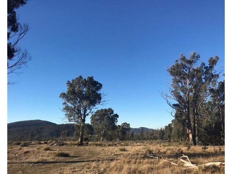 134 Drovers Rise, Carlton River TAS 7173