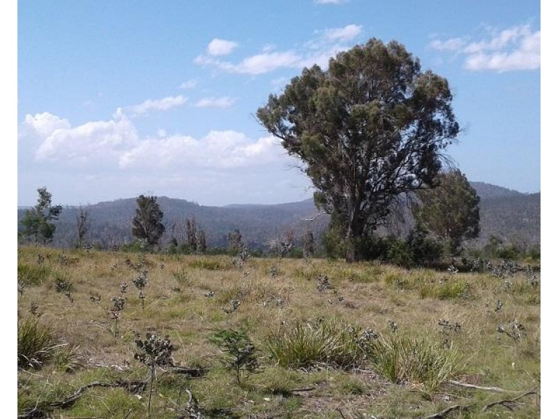 134 Drovers Rise, Carlton River TAS 7173