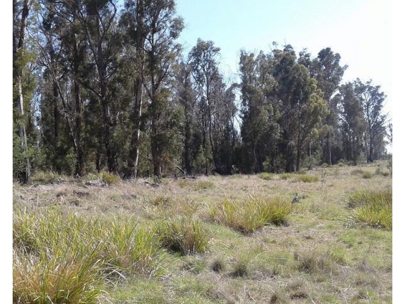 134 Drovers Rise, Carlton River TAS 7173